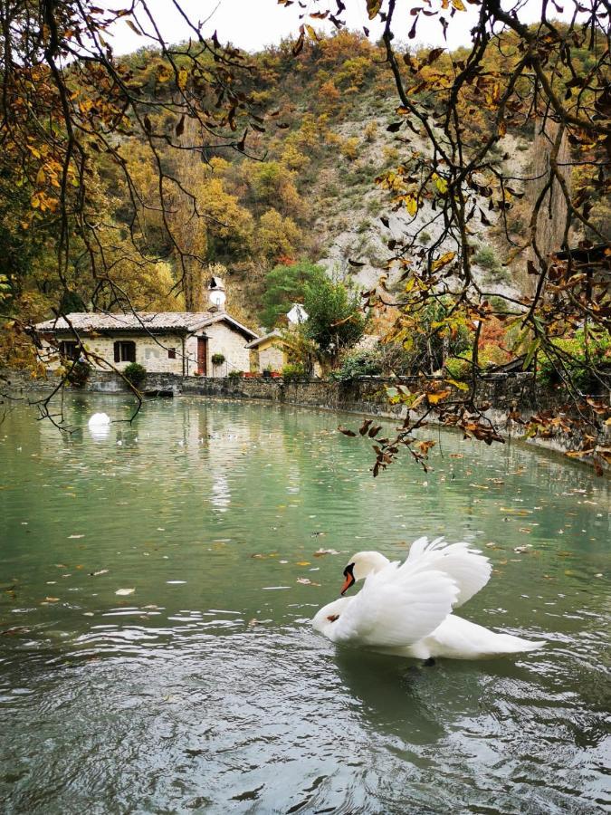 Pianpieve Nature & Relax Apartment *