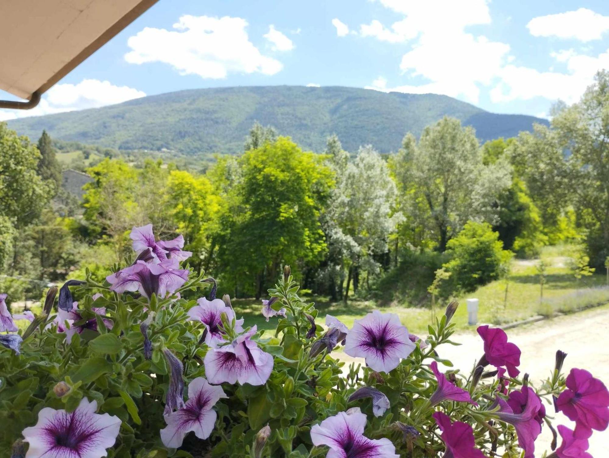 Pianpieve Nature & Relax * Assisi