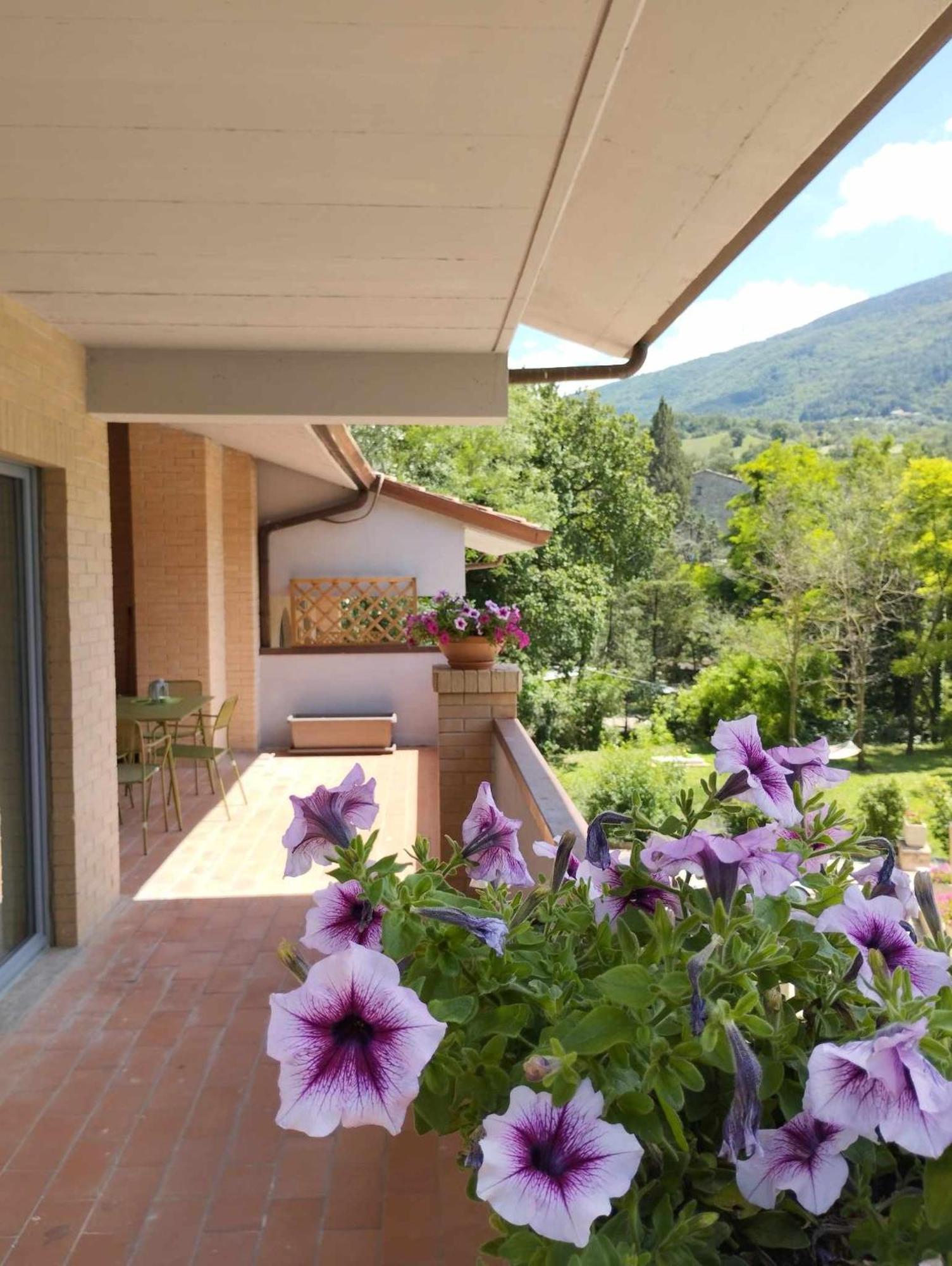 Pianpieve Nature & Relax Apartment *